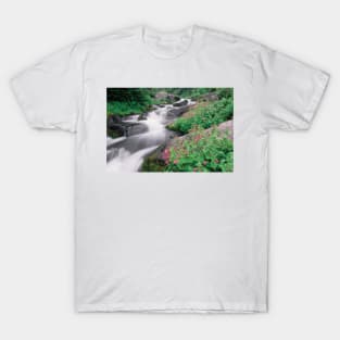 Paradise River Surrounded By Spring Flowers Mt Rainier National Park T-Shirt